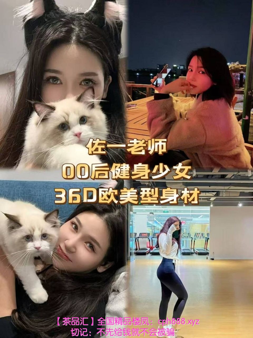 精彩照片