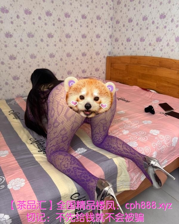 精彩照片